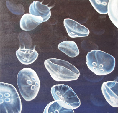 Peinture Animalière - Marc Legris - Sea Ghosts - 2011 - huile sur toile - 80x80cm Marc Legris - Peinture Animalière