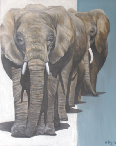 Peinture Animalière - Marc Legris - Eléphants - A la queue leu leu - 2009 - huile sur toile - 60x60cm Marc Legris - Peinture Animalière