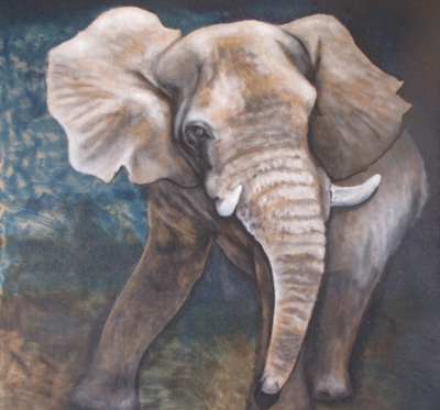 Peinture Animalière - Marc Legris - Elephant adolescent 2008 - huile sur toile - 100x100cm Marc Legris - Peinture Animalière