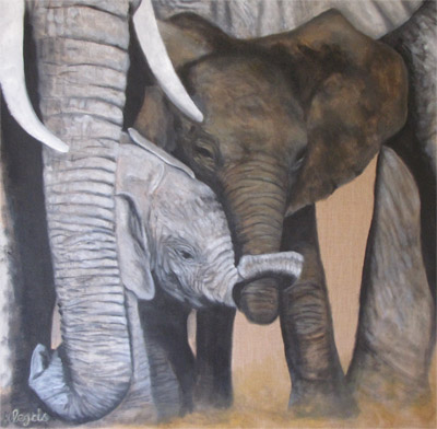 Peinture Animalière - Marc Legris - Eléphants - Smak - 2009 - huile sur toile - 100x100cm Marc Legris - Peinture Animalière