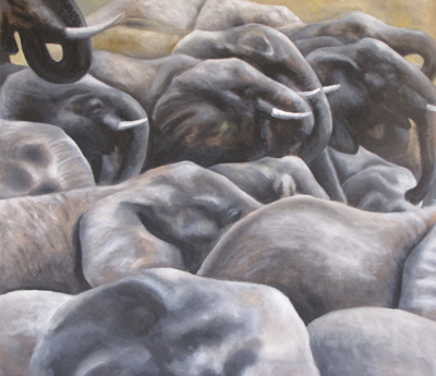 Peinture Animalière - Marc Legris - Troupeau d'éléphants - huile sur toile - 100x100cm Marc Legris - Peinture Animalière