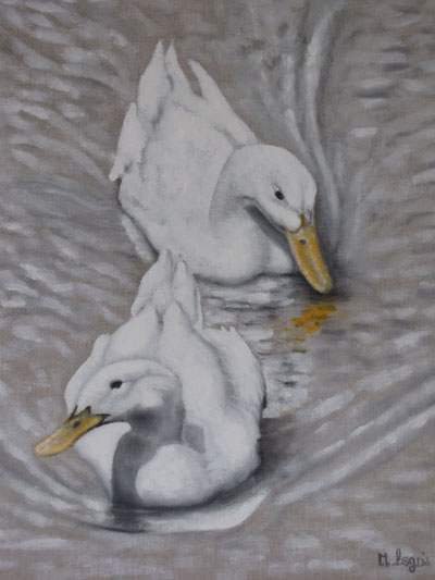 Peinture Animalière - Marc Legris - 2 Canards - 2015 - huile sur toile - 55x46 Marc Legris - Peinture Animalière