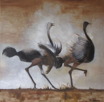 Peinture Animalière - Marc Legris - Autruches - 2013 - huile sur toile - 80x80cm Marc Legris - Peinture Animalière