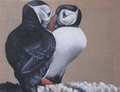Peinture Animalière - Marc Legris - Macareux - 2006 - huile sur toile - 46x38 Marc Legris - Peinture Animalière