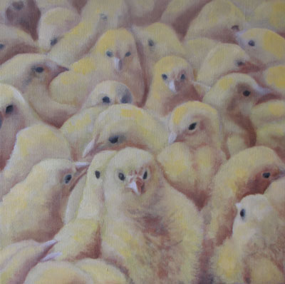 Peinture Animalière - Marc Legris - Poussins - 2013 - huile sur toile - 30x30cm Marc Legris - Peinture Animalière