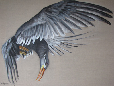 Peinture Animalière - Marc Legris - Sterne inca - 2010 - huile sur toile - 116x90cm Marc Legris - Peinture Animalière