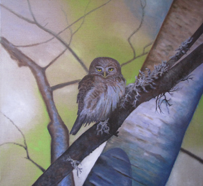 Peinture Animalière - Marc Legris - Yvette la chouette - 2010 - huile sur toile - 110x110 Marc Legris - Peinture Animalière