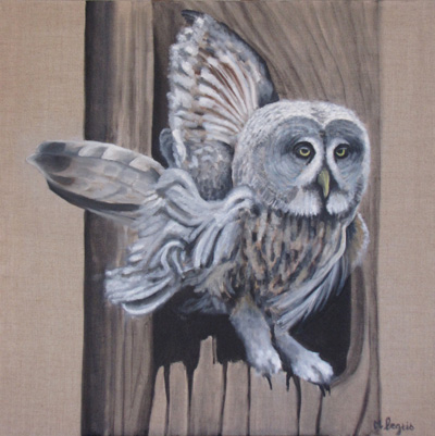 Peinture Animalière - Marc Legris - Yvonne la Lapone - 2012 - huile sur toile - 80x80cm Marc Legris - Peinture Animalière