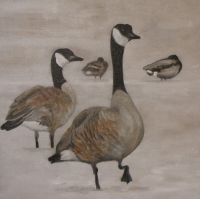 Peinture Animalière - Marc Legris - Bernaches - 2014 - huile sur toile - 50x50cm Marc Legris - Peinture Animalière