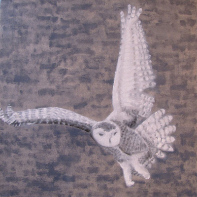 Peinture Animalière - Marc Legris - Chouette Alphand - 2014 - huile sur toile - 50x50cm Marc Legris - Peinture Animalière