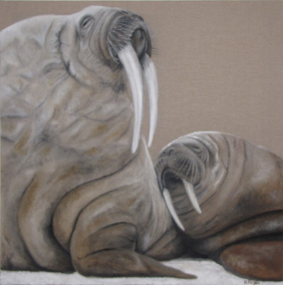 Peinture Animalière - Marc Legris - Morses - 2003 - huile sur toile - 100x100cm Marc Legris - Peinture Animalière
