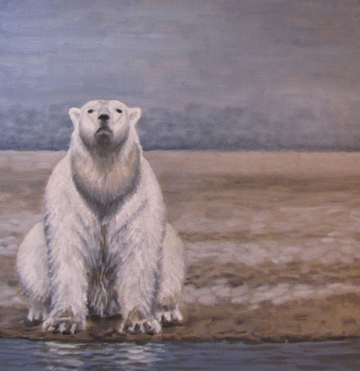 Peinture Animalière - Marc Legris - Ours assis - 2014 - huile sur toile - 50x50cm Marc Legris - Peinture Animalière