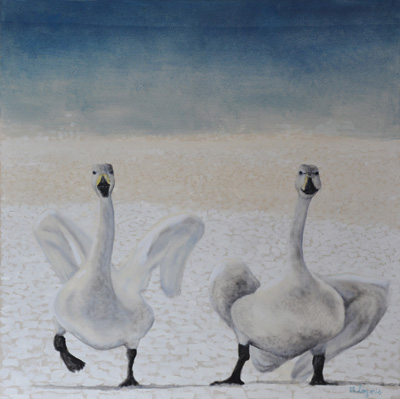 Peinture Animalière - Marc Legris - Sophie et Marie-Catherine, Oies Pôlaires - 2003 - huile sur toile - 100x100cm Marc Legris - Peinture Animalière
